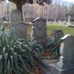 Lindsley settlers cemetary historic 4th ward uptown charlotte agent broker