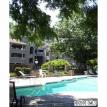 springfield square uptown charlotte short sale townhome condo foreclosure agent
